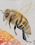 Let me bee – Original watercolor painting
