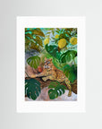 Cat in the lemon tree